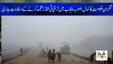 Caretaker Government News in Urdu