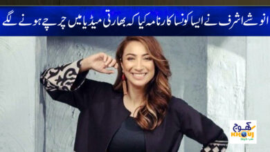Anoushey Ashraf News in Urdu