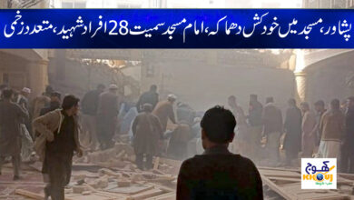 Peshawar Latest Urdu News