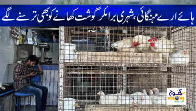 Pakistan Social Issues News