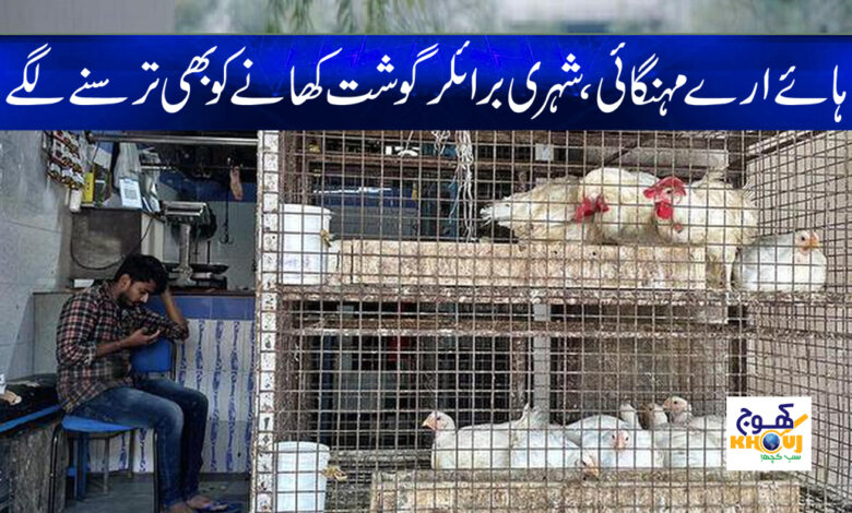 Pakistan Social Issues News
