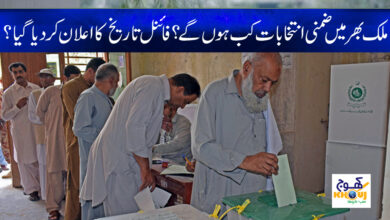 Election News in Urdu
