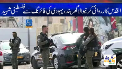 Palestinian News in Urdu