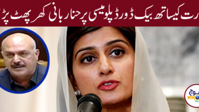 Hina Rabbani Khar News in Urdu