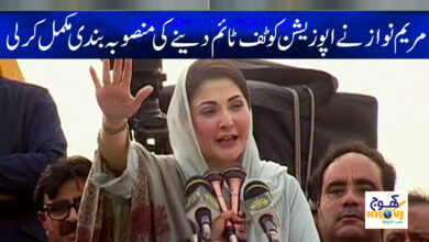 Maryam Nawaz News Update