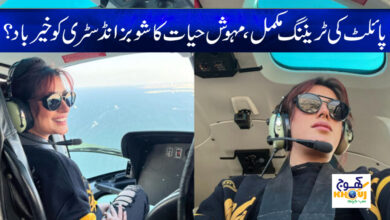 Mehwish Hayat News in Urdu