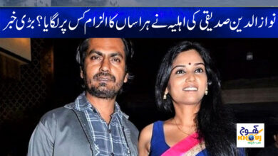 Nawazuddin Siddiqui wife News