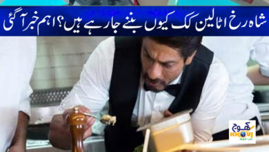 Shahrukh khan News in Urdu