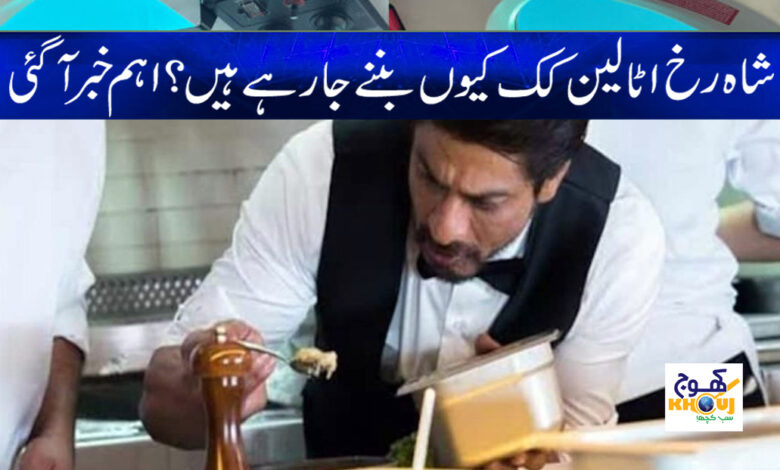 Shahrukh khan News in Urdu