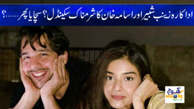 Zainab usama Leaked Video News