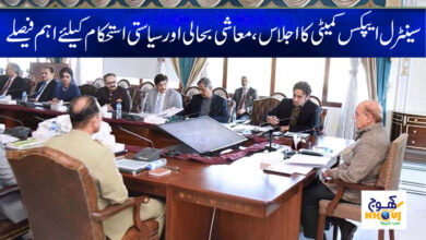 Shahbaz Sharif News in Urdu