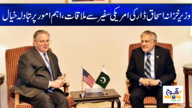Ishaq Dar Meet American Ambassador