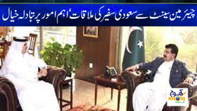 Saudi Ambassador Meet With Chairman Senate