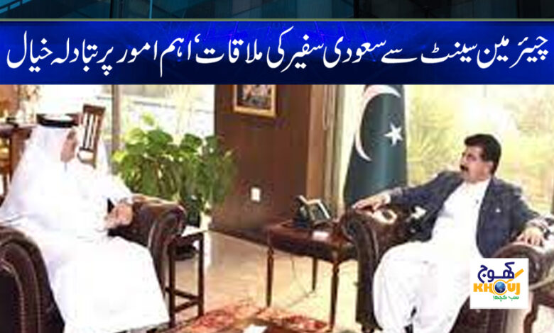 Saudi Ambassador Meet With Chairman Senate