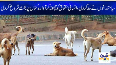 Latest News in Urdu