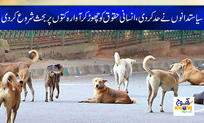 Latest News in Urdu