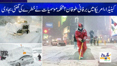 Blizzard in America News in Urdu