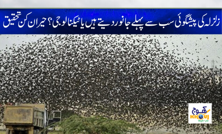 Weird News in Urdu