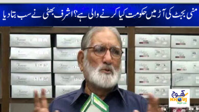 Mini Budget News in Urdu