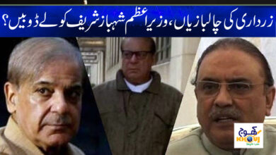 Asif zardari and Shahbaz sharif News