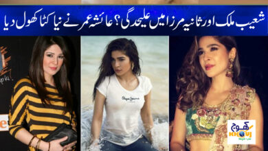 Shoaib Malik and Sania Mirza News