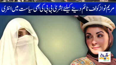 Maryam Nawaz News in Urdu