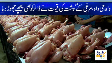 Chicken Rate Increase News in Urdu