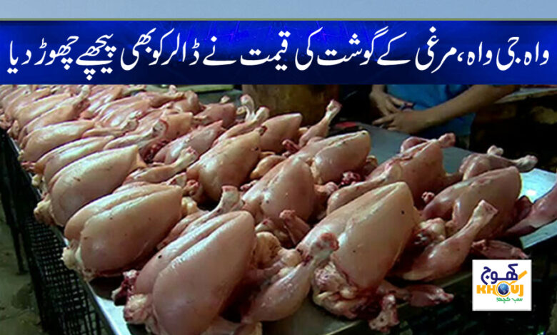 Chicken Rate Increase News in Urdu
