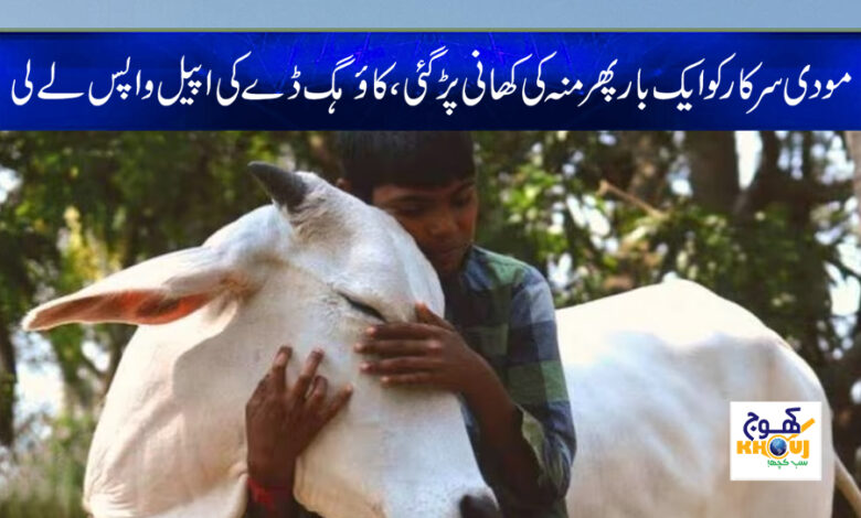 Modi Govt Latest News in Urdu