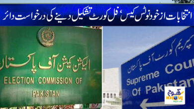 Election News in Urdu