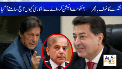 Election News in Urdu