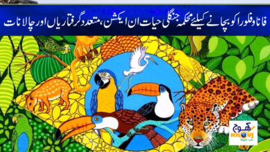 Wildlife Department News in Urdu
