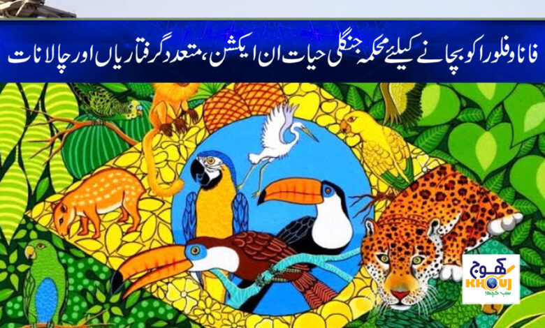 Wildlife Department News in Urdu