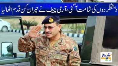 Army Chief Latest News in Urdu