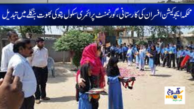 Government Primary School Patuki
