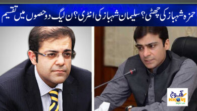 Hamza Shehbaz News in Urdu