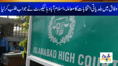 Election News in Urdu