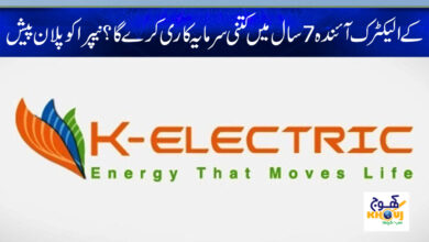 Nepra Latest Plan News in Urdu