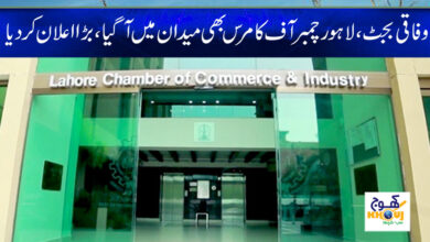 Federal Budget News in Urdu