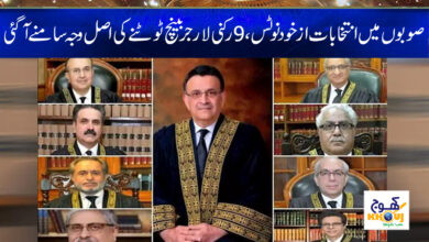 Election News in Urdu