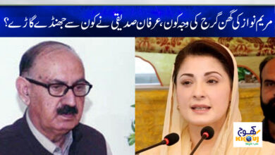 Maryam Nawaz News in Urdu