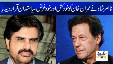 Nasir Hussain Shah News in Urdu