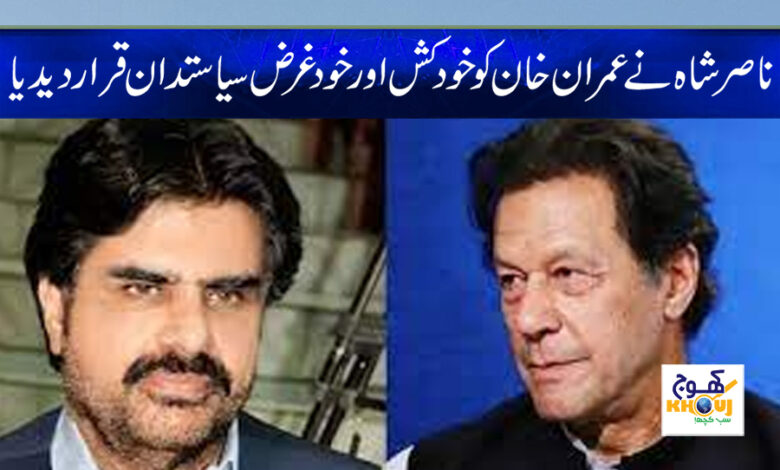 Nasir Hussain Shah News in Urdu
