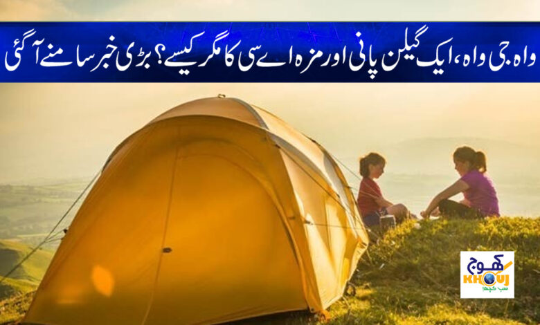 Latest Weird News in Urdu