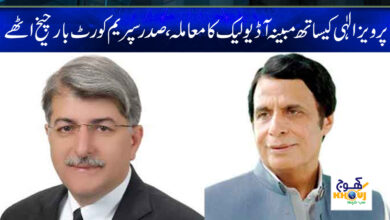Parvez Elahi Audio Leak News