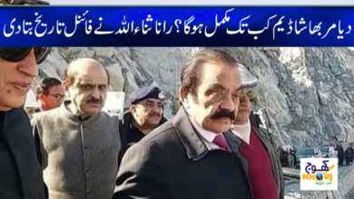 Rana Sanaullah News in Urdu