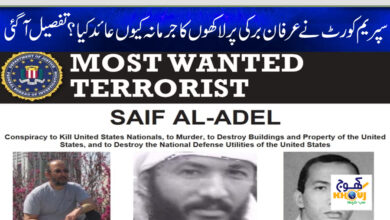 saif al adel