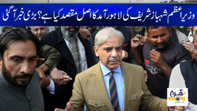 shahbaz sharif in lahore