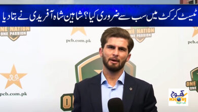 shaheen shah afridi News