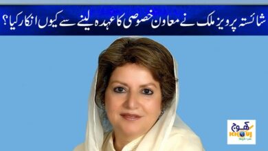 Shaista Pervez Malik Latest News in Urdu